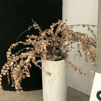 Furry兽设设计实用干货福瑞群